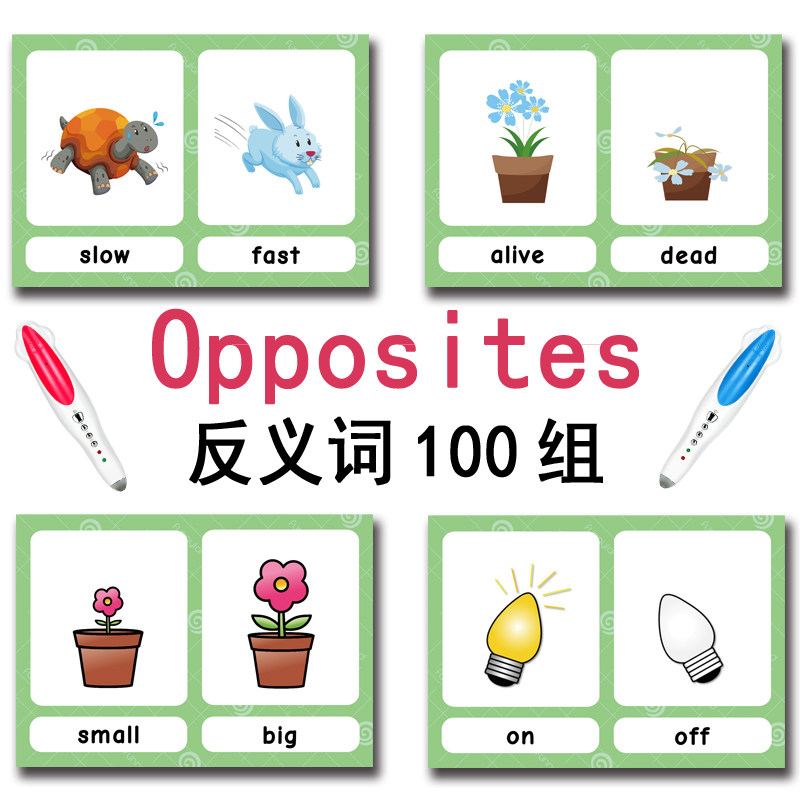 The 100 Groups Opposites Flash - đánh giá và giá Kids Toys Idea